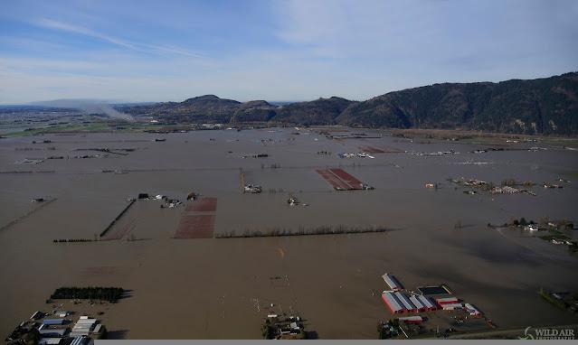 An aerial photo of the flooded Sumas Prairie in British Columbia, Canada. There is a blue sky, low rolling hills in the distance, and then the lower two thirds of the photo is mainly a flat plain of brown water, accented here and there by protruding barn roofs, a few other buildings, a few small boats, and a few small trees and shrubs.