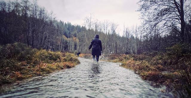 Dark, moody photograph, taken from just above a stream, which runs away between yellow-brown rotting grasses in a meadow, all surrounded by leafless winter trees. In the centre of the frame, a woman in a long black raincoat and rain pants runs, splashing, along the creek.