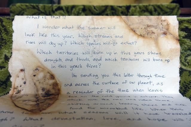 A raw-edged piece of handmade paper lies folded on green-carpeted stairs. There are rotted-leaf prints on the paper, and text written between them. The text says:
What is that?!
I wonder what the summer will look like this year. Which streams and rivers will dry up? Which species will go extinct? Which territories will burn up in this year's storms, droughts, and floods, and which territories will burn up in this year's fires?
I'm sending you this letter through time and across the surface of our planet, as a reminder of the time when leaves...
(The rest of the text is at too steep of an angle to decipher.)