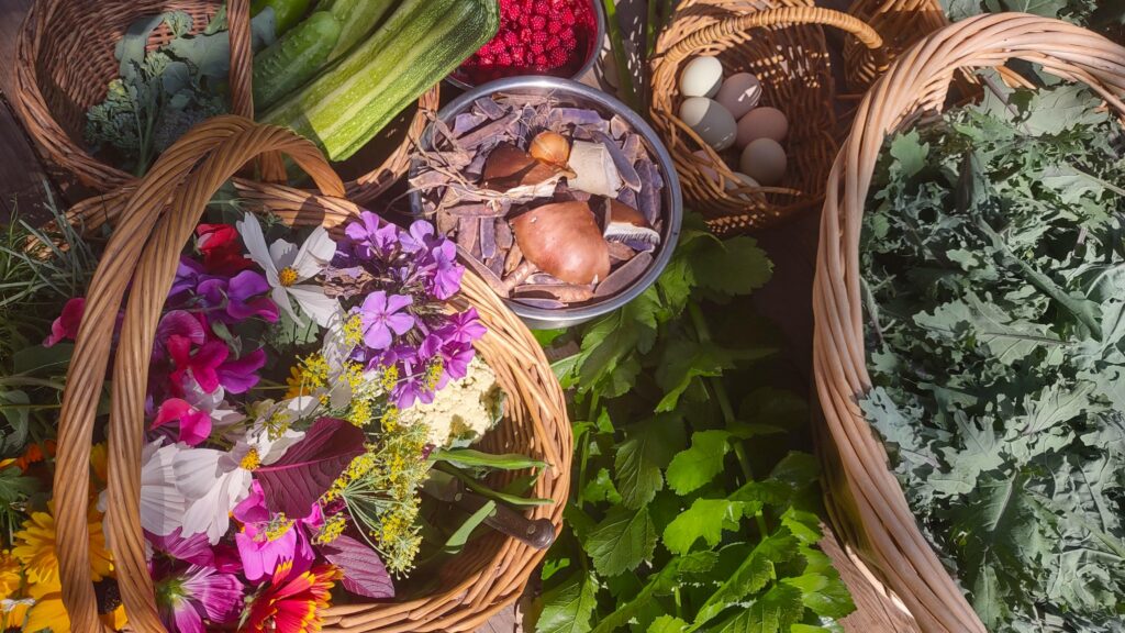 Baskets of freshly-harvested broccoli, cucumbers, zucchini, wineberries, purple peas, winecap mushrooms, multicoloured chicken eggs, kale, celery, cauliflower, and a diverse selection of flowers.