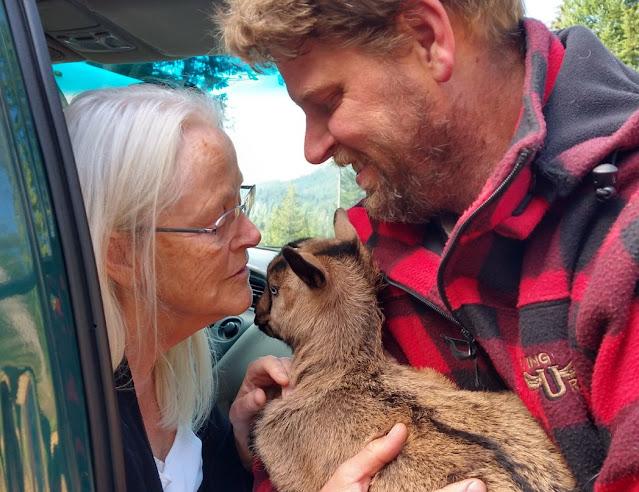 A man with short blond hair and a red and black checkered jacket holds a baby goat up to a woman in the open door of a car. The woman looks lovingly into the face of the small goat, her long straight white hair falling around her face.