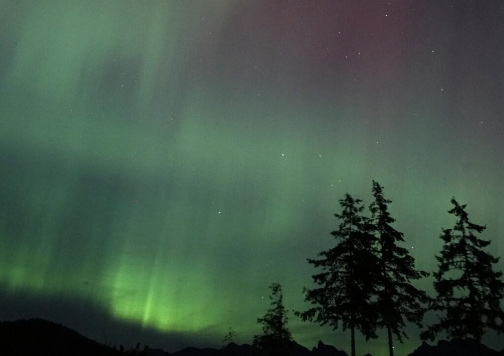 foreground. Photo by Emily van Lidth de Jeude.