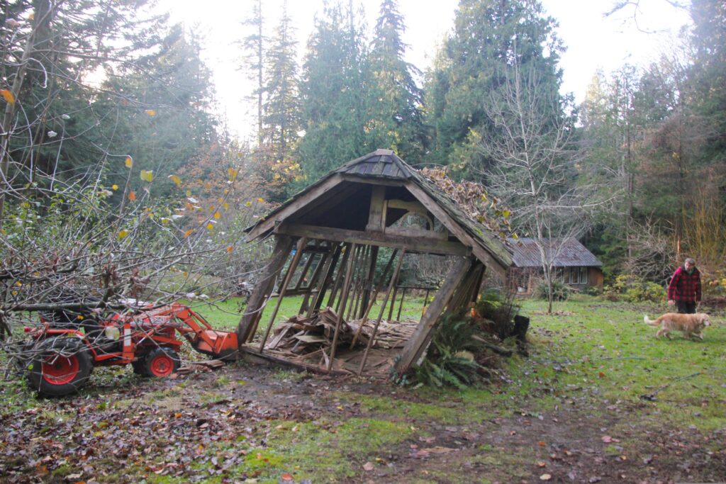 The shed is being pushed by a tractor from the left, and leaning hard to the right where a man and a golden retriever are walking.