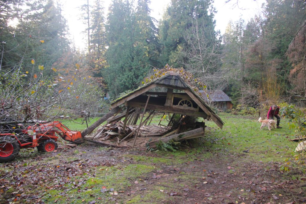 The shed is now falling halfway to the ground, and the man is reaching down to pull the golden retriever to safety.