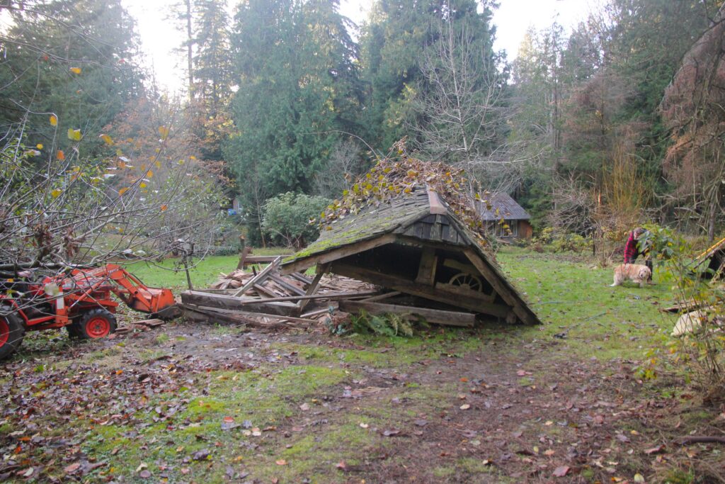 The roof of the shed has hit the ground, and the man and dog are looking back at it from the side.