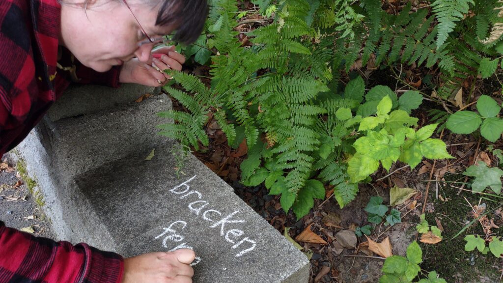 Close-up photo of artist Emily van Lidth de Jeude, with brown hair in buns and a red and black lumber jacket, printing the words "bracken fern" ontop of a small concrete block wall. There are bracken ferns growing on the other side of the wall from where Emily is standing.