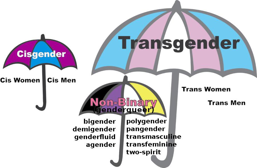 Three umbrellas provide a visualization for gender identity terminologies. On the left, a dark pink and blue umbrella (cisgender flag colours) says 'cisgender', and shelters the words 'cis women' and 'cis men'. On the right, a large umbrella in the colours pastel blue, pastel pink and white (trans flag colours) says 'transgender, and shelters the words 'trans women' and 'trans men', as well as a smaller umbrella, that says 'non-binary', and 'genderqueer' in parentheses. This non-binary umbrella is black, purple, white and yellow--the colours of the non-binary flag. Under this non-binary umbrella is a list of words representing some of the many diverse non-binary identities: bigender, demigender, genderfluid, agender, polygender, pangender, transmasculine, transfeminine, and two-spirit.