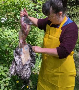 Artist Emily van Lidth de Jeude wearing a burgundy sweater and yellow plastic apron, holding up a skinned chicken by its hind legs. In her left hand she's holding a sharp knife, slowly working the pelt off of the wings.