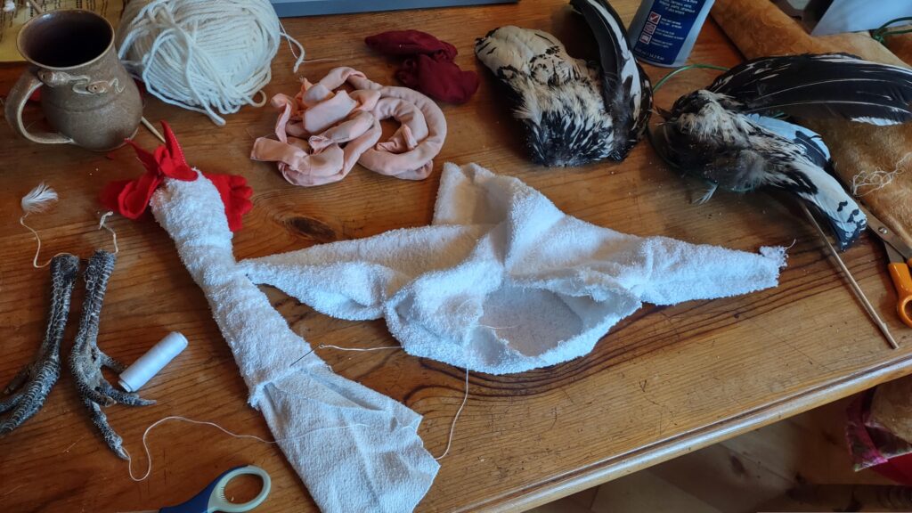 On a table is a spread of rooster-puppet parts: Two dried rooster feet, a stuffed neck and head made of fabrics, a yet-unstuffed body made of white terrycloth, two real rooster wings, a heap of intestines made of pink cotton and stuffed with dry lentils, and a liver made of burgundy fabric. Also on the table are thread, scissors, yarn, glue, feathers, wooden skewers, and a cup of tea.
