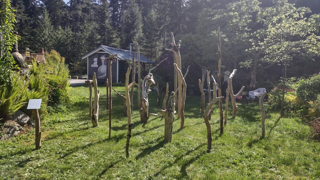 A photo of artist Emily van Lidth de Jeude's installation, "elegy", which is a twenty-foot-wide forest of 4 to 10-foot-long driftwood, standing on end. Some of the upright driftwood logs have poetry burned into them, in English. At the left side of this photo there is a separate piece of driftwood with a plaque attached to the top, upon which is printed the title and artist's statement of this piece.