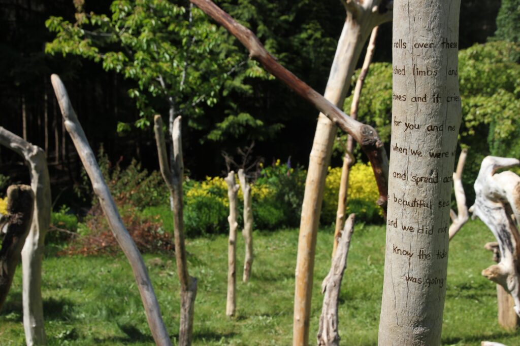 A close-up view of artist Emily van Lidth de Jeude's installation, "elegy", which is a twenty-foot-wide forest of 4 to 10-foot-long driftwood, standing on end. Some of the upright driftwood logs have poetry burned into them, in English. The piece in the foreground of this image says:
wind rolls over these polished limbs
and stones and it cries for
you and me when we were whole
and spread across the beautiful sea
and we did not know the tide
was going out