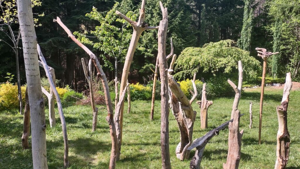An immersive view of artist Emily van Lidth de Jeude's installation, "elegy", which is a twenty-foot-wide forest of 4 to 10-foot-long driftwood, standing on end. Some of the upright driftwood logs have poetry burned into them, in English. The words are too small to read, in this photo.