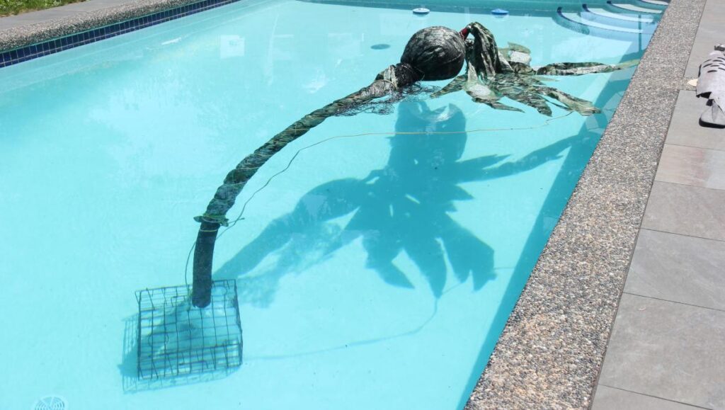 A photo of a residential outdoor pool with steps in one end, and concrete around the edges. In the middle of the pool is a giant bull-kelp made of garbage. The floating bulbous top of the kelp is nearly two feet wide, and a large volume of plastic leaves spread out on the surface of the water. THe whole thing is created from a 12-foot-long flexible plastic drainage pipe, a marine buoy, a green and black camouflage tarp, various plastic ropes, and is anchored to a crab trap full of rocks that rests on the bottom of the pool. 
Artist: Emily van Lidth de Jeude
