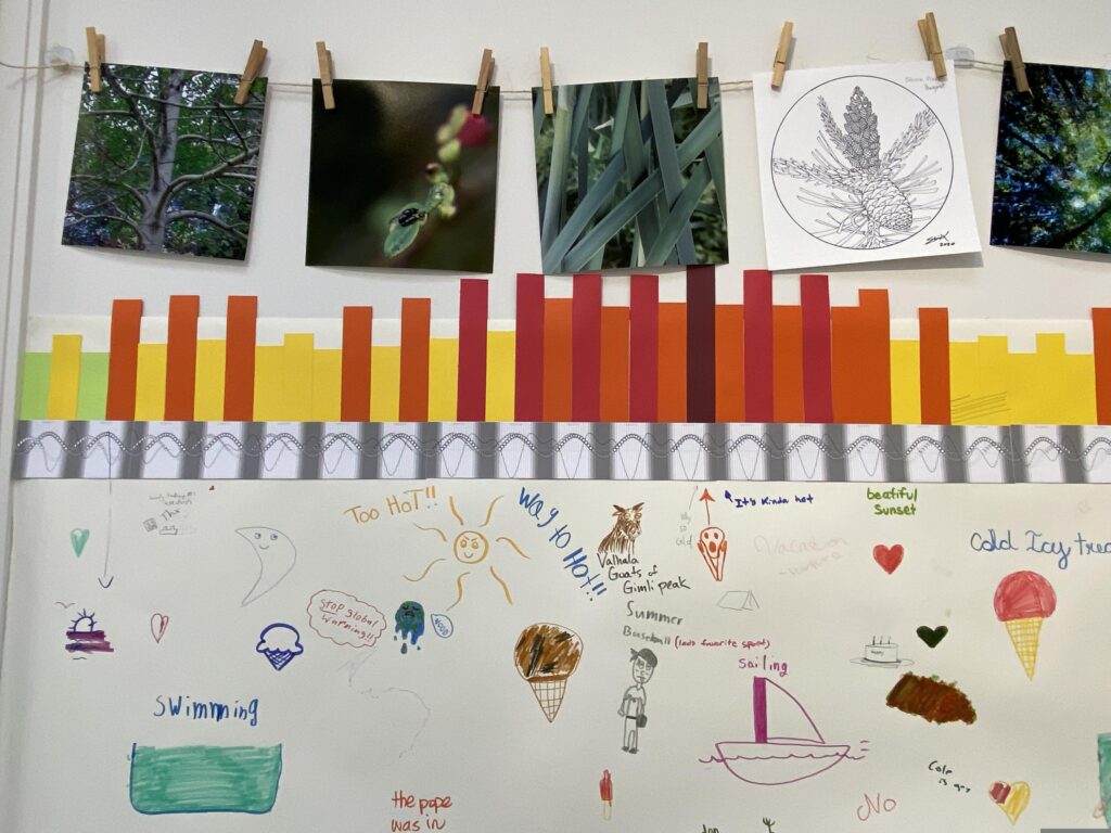 A close-up view of just three weeks of the One Solar Year graph, showing August: daily and nightly temperatures rising well into the thirty-degree-celcius range for over a week, lunar, solar and tidal cycles, and weather observations. Above the graph are four photos hung by clothespins from a jute string, depicting deep shadowy green leaves, a fly on a huckleberry leaf, and sunlight through a tree canopy. There is also a drawing of a Shore pine branch tip with a cone. Under the graph are many drawings and comments made by the public, including many references to ice cream, swimming and other summer water activities, the sun, "too hot", and a red screaming face.